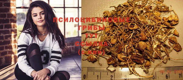 прущий лед Армянск