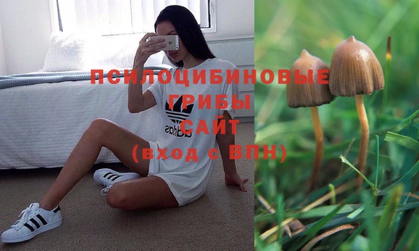 MDMA Premium VHQ Аркадак